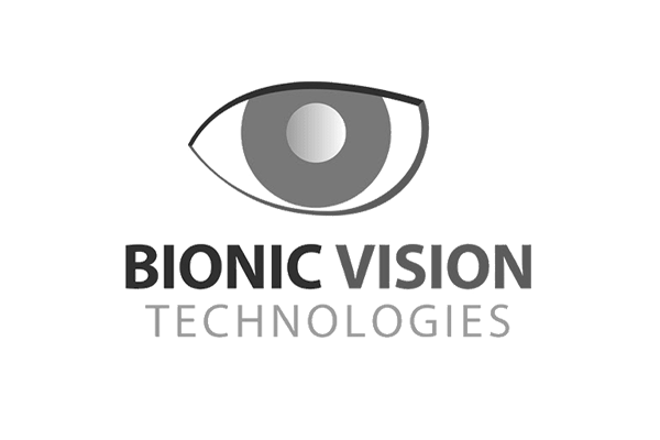 Bionic Vision