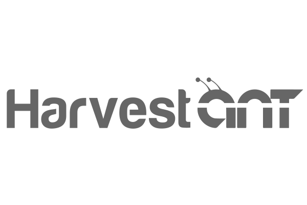 Harvest Ant